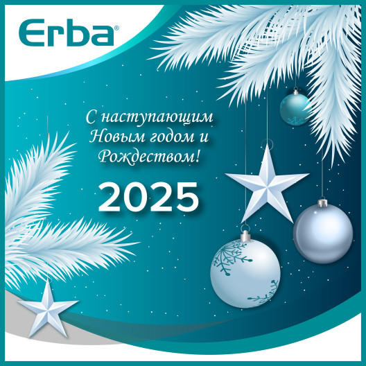 С наступающим 2025 годом!